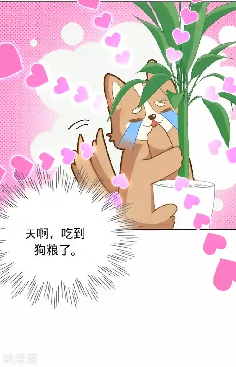 以婚之名第16话 你是明星？