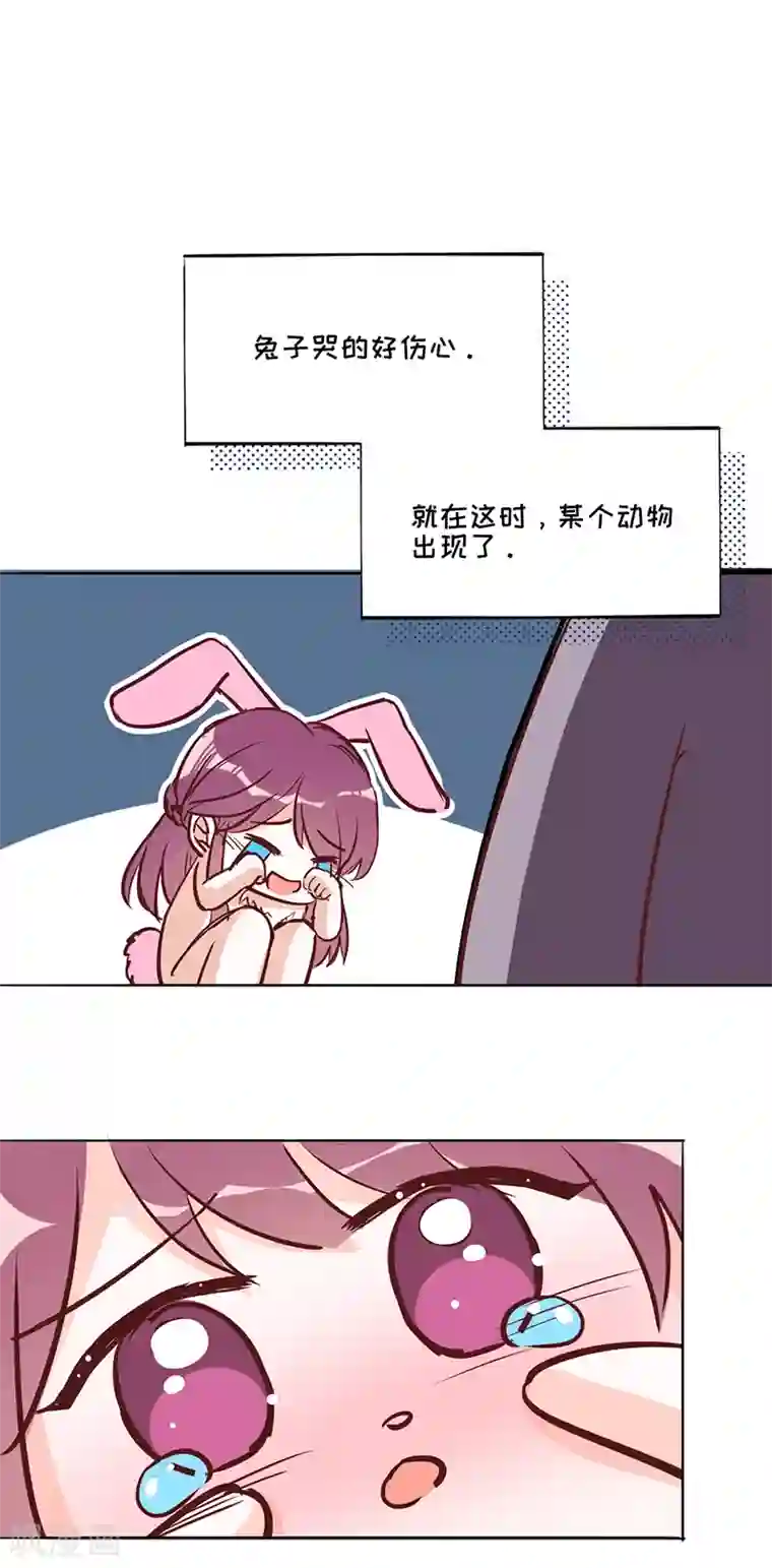 以婚之名第17话 又见杨兮