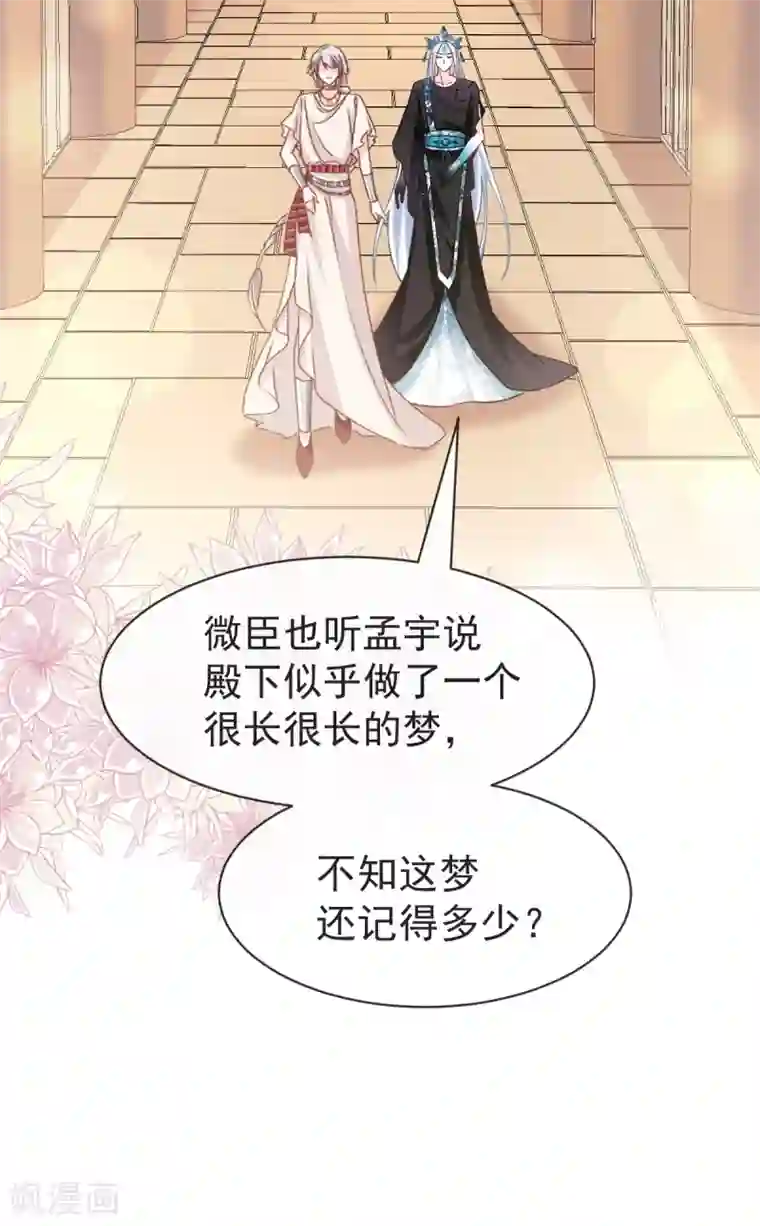 天下第一宠第55话 梦中的世界
