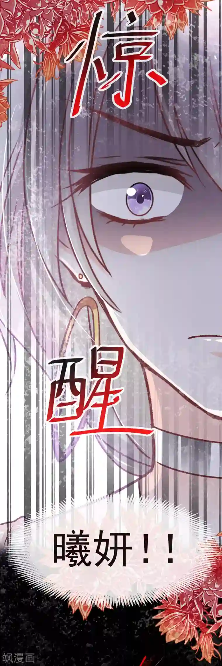 天下第一宠第57话 新王即位