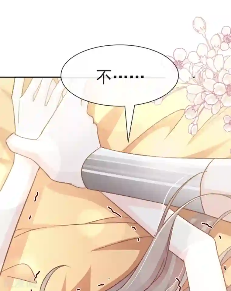 天下第一宠第57话 新王即位