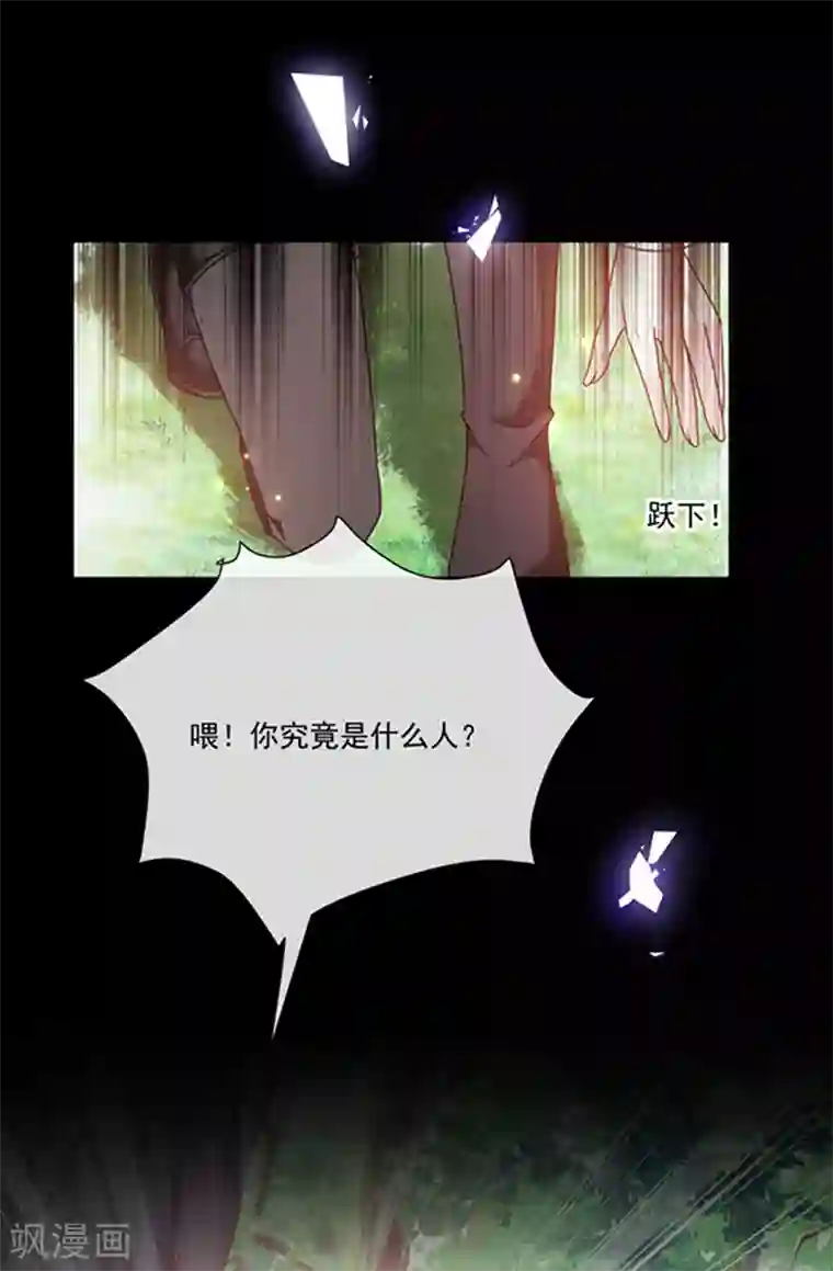 恶魔，别吻我第188话 南瑾风的精神世界