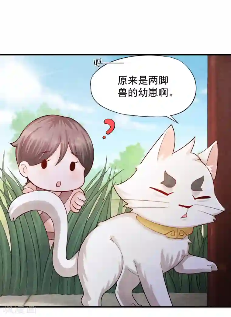 杨戬第5话 有鬼？不，是小鬼！
