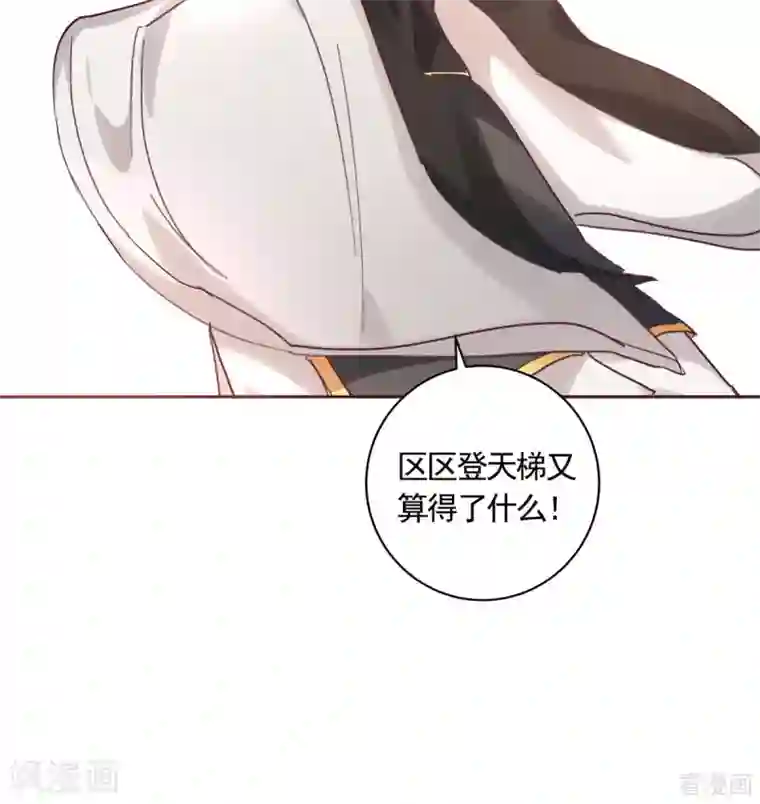 神医毒妃太嚣张第164话 我来守护娘亲