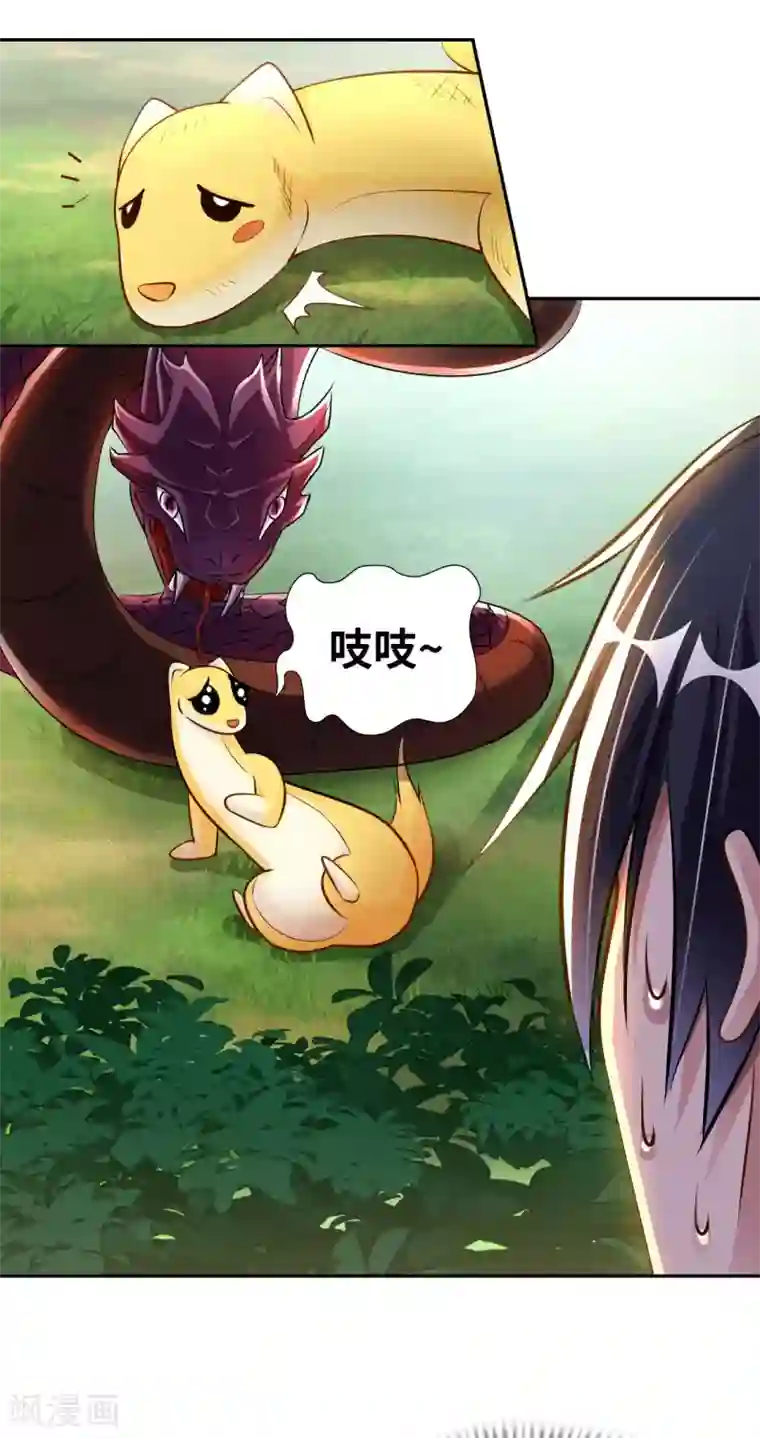 我的师傅是神仙第6话 杨毅云的奇遇