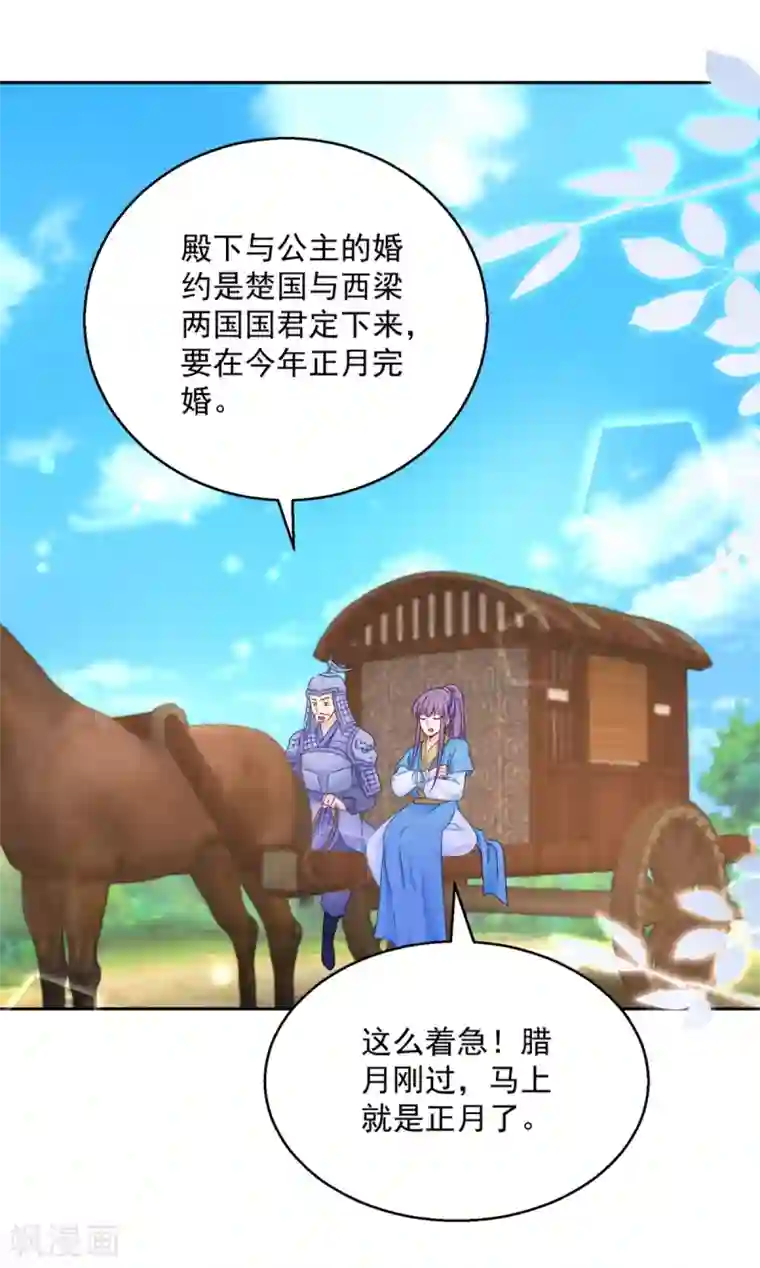 盛宠阴阳妃第93话 天作之合