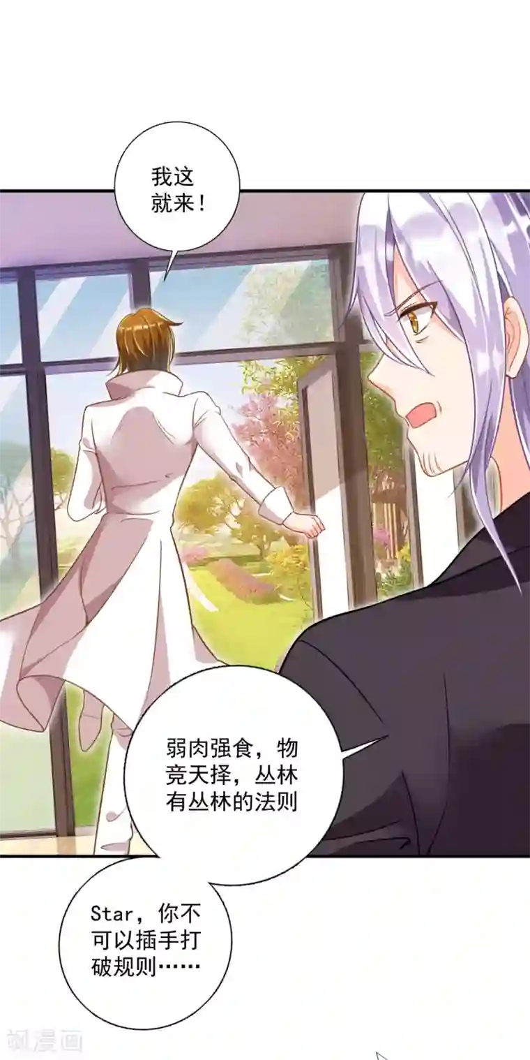 豪门天价前妻第604话 石头，一起回洛城好吗？