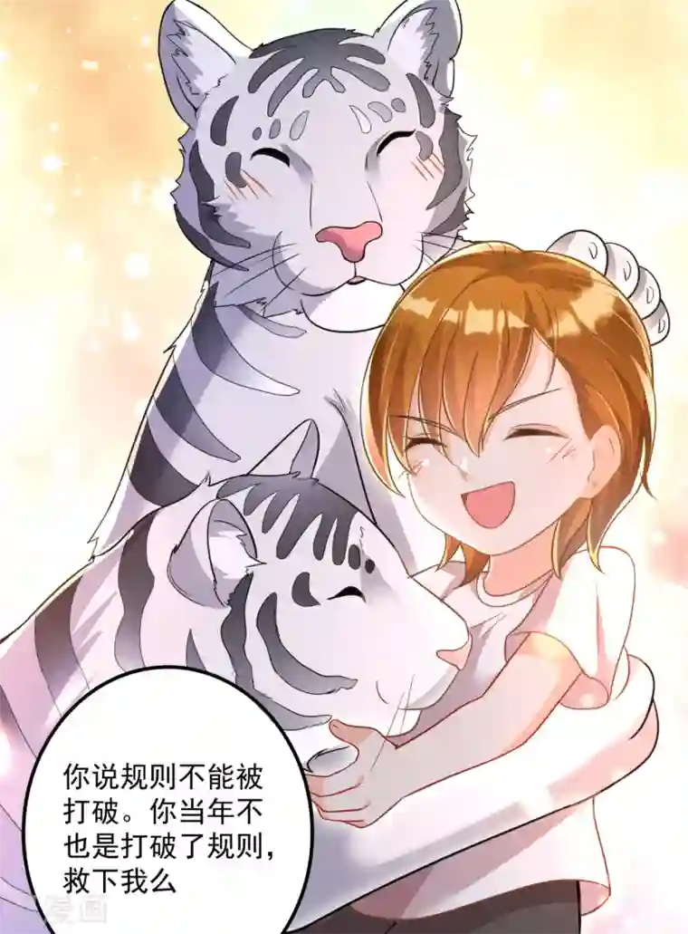 豪门天价前妻第604话 石头，一起回洛城好吗？