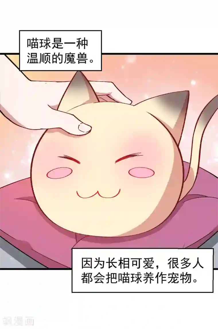 校园狂师第137话 喵球