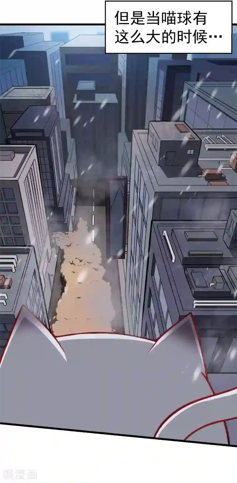 校园狂师第137话 喵球