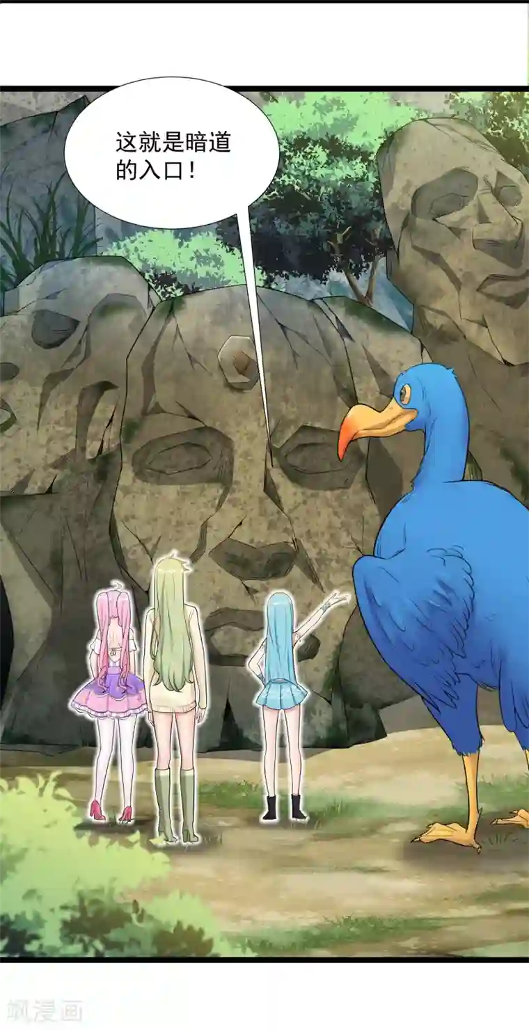 巅峰强少第78话