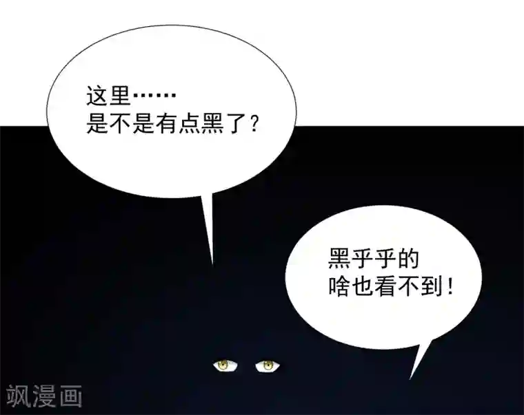 巅峰强少第78话