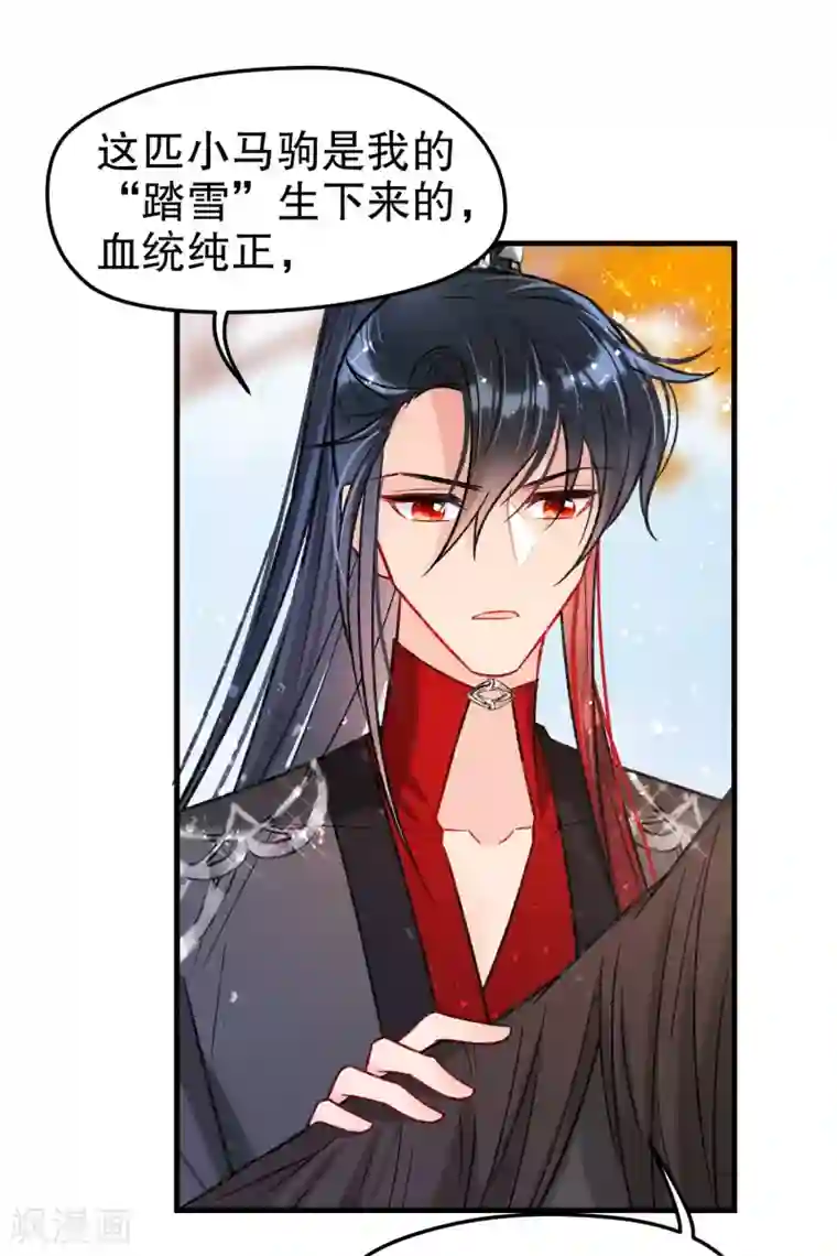 我家陛下总想祸国第17话1 马场惊魂