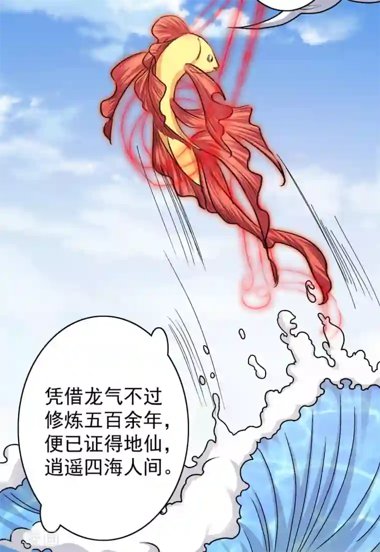 神仙代理人第40话 锦鳞姬与龙王有一腿？