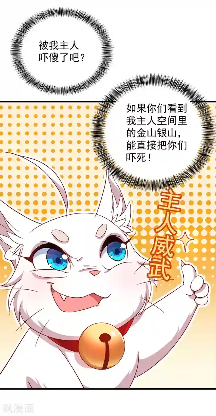 我在异界养男神：神医九小姐第25话 赌石