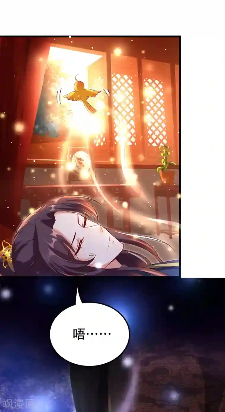 我在后宫当大佬第22话 萌版凤骁