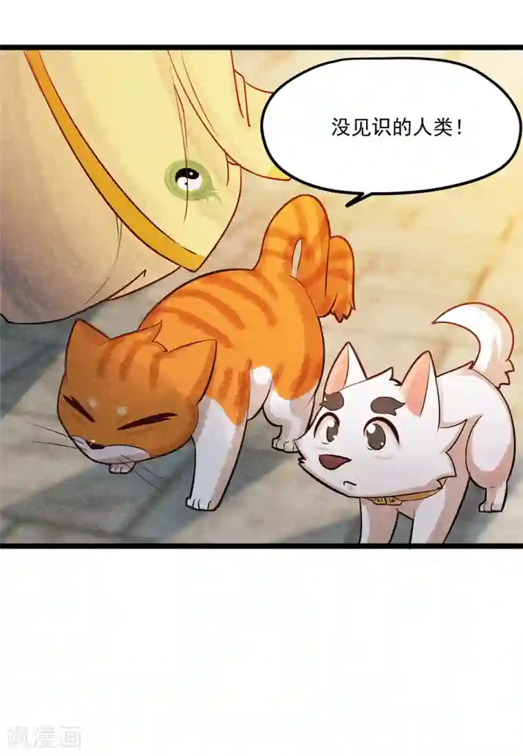 杨戬番外2 莫要欺负我崽！