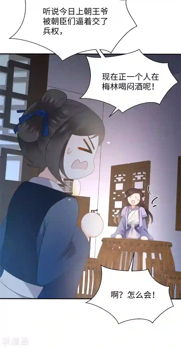 通灵王妃第17话 让权