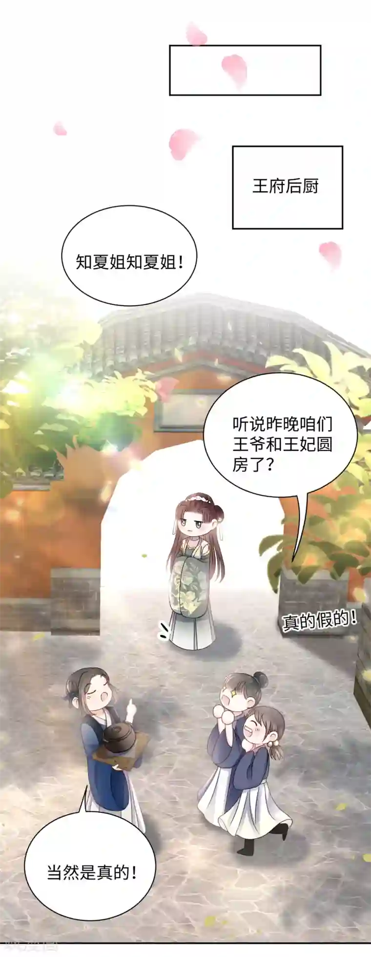 通灵王妃第28话 玄玉