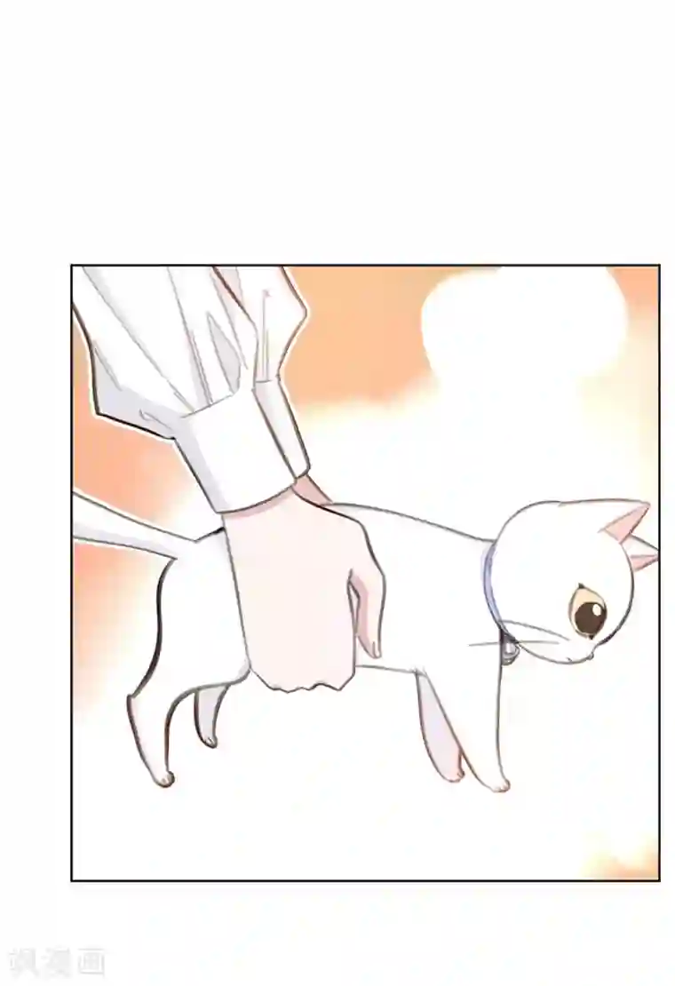 重生暖婚轻轻宠第180话 你放心把它交给我吧