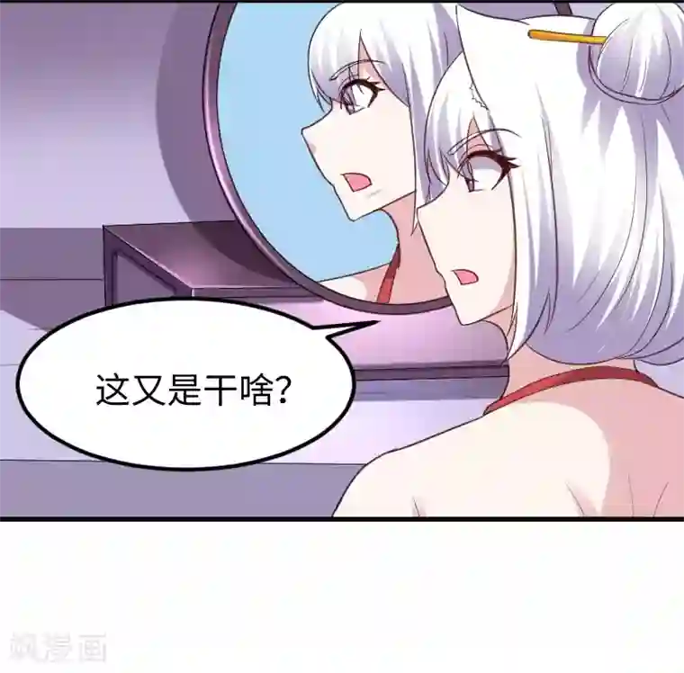 宠狐成妃最终话 破晓