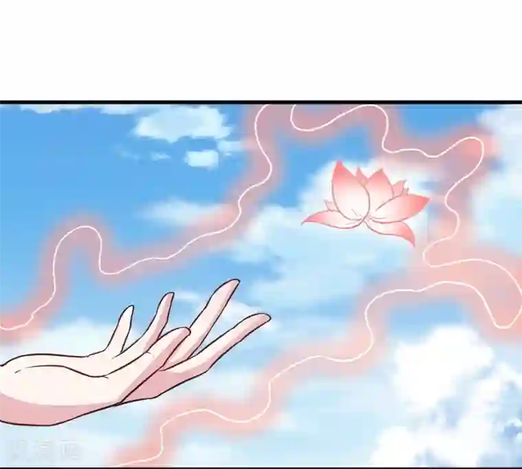 宠狐成妃最终话 破晓