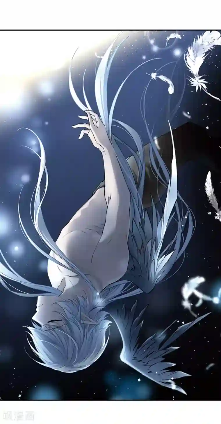 寻找前世之旅第497话 谜底1