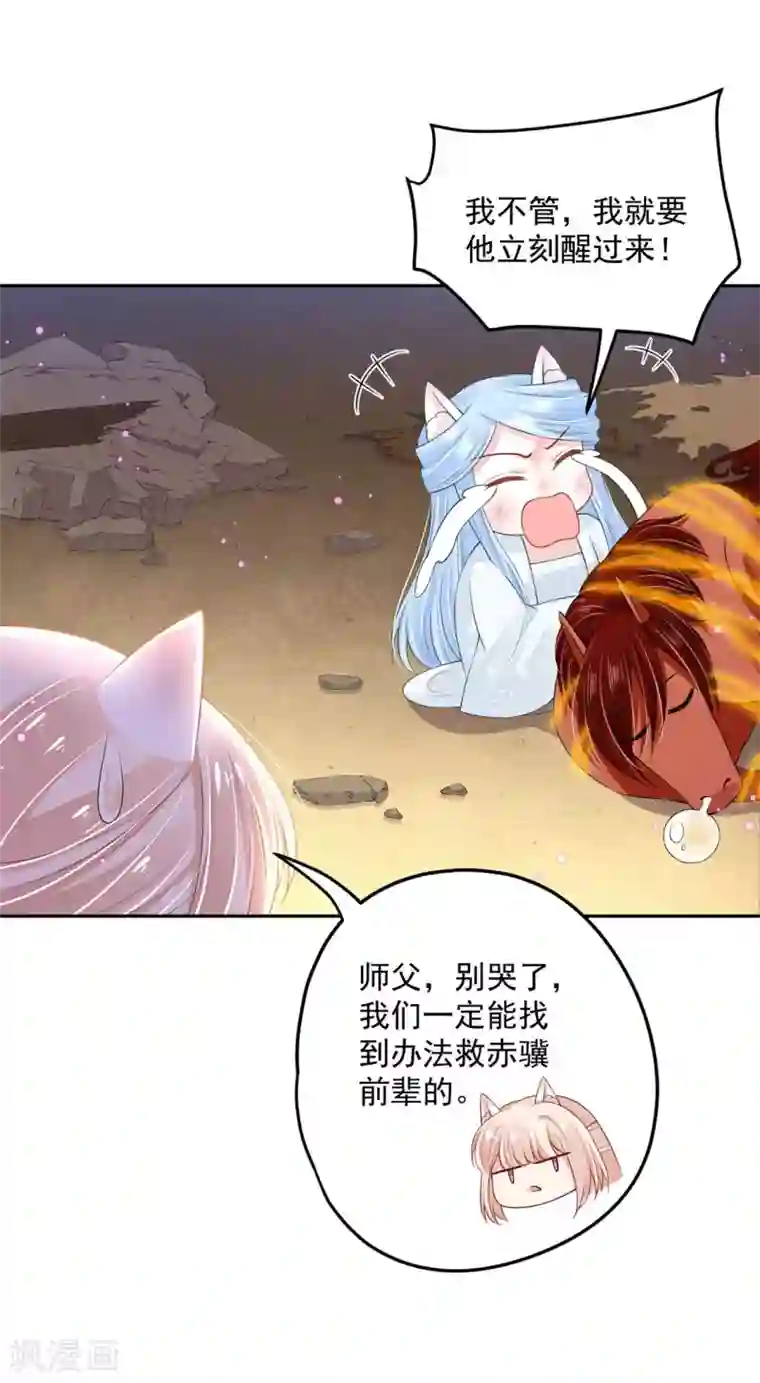 朕的马是狐狸精第90话 我要他醒过来