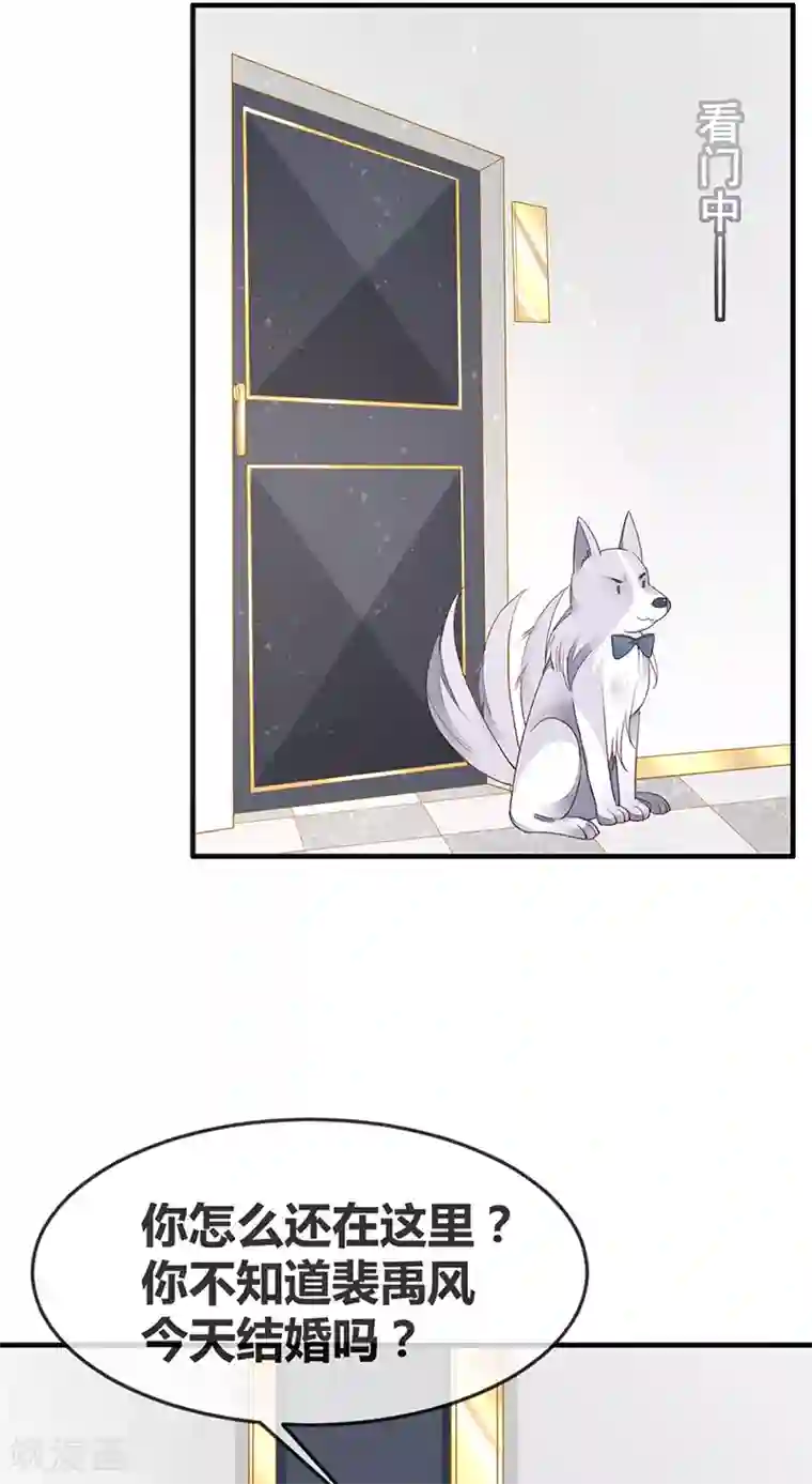 暗夜甜宠：误惹第一恶魔第66话 最后一次敬酒