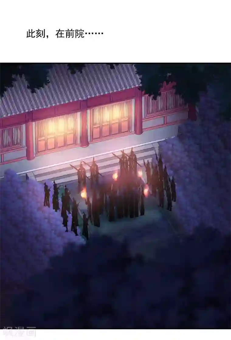 穿越王妃要升级第190话 又见刺客