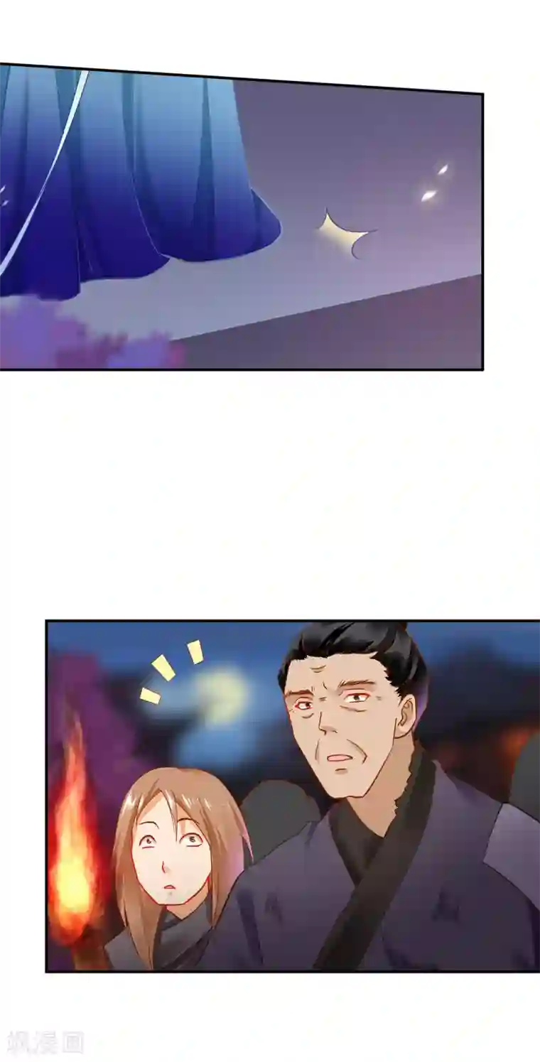 穿越王妃要升级第190话 又见刺客