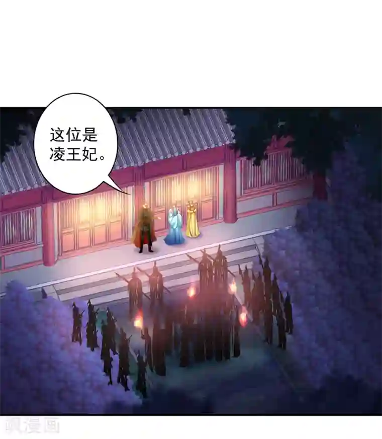 穿越王妃要升级第190话 又见刺客