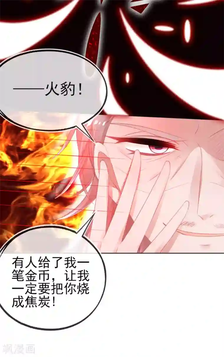 本王妃神藤在手第63话 叶玲珑雇了杀手