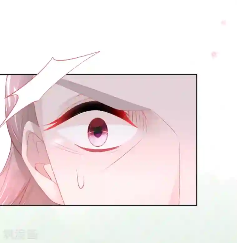 本王妃神藤在手第64话 触发防御罩