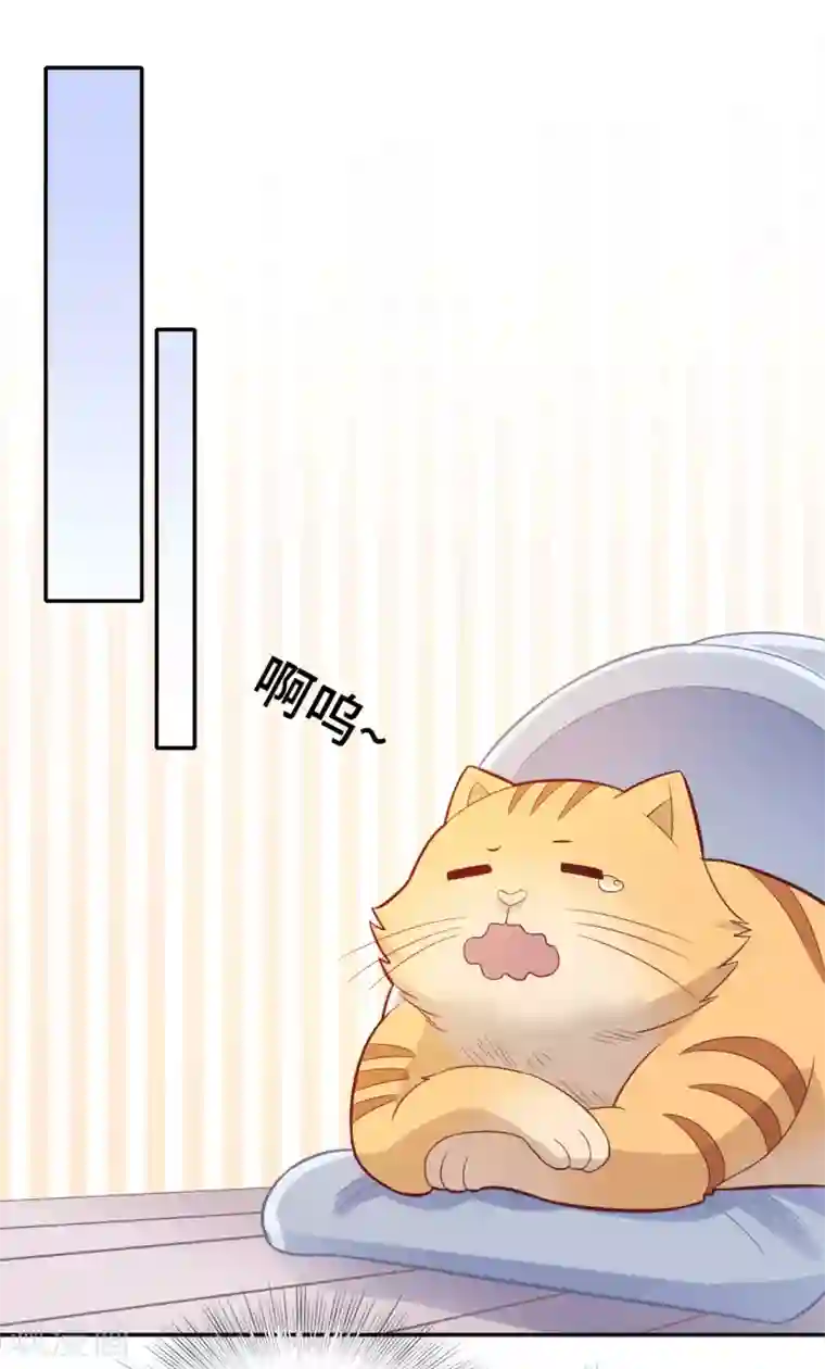 隔壁那个饭桶第71话 爱心午餐