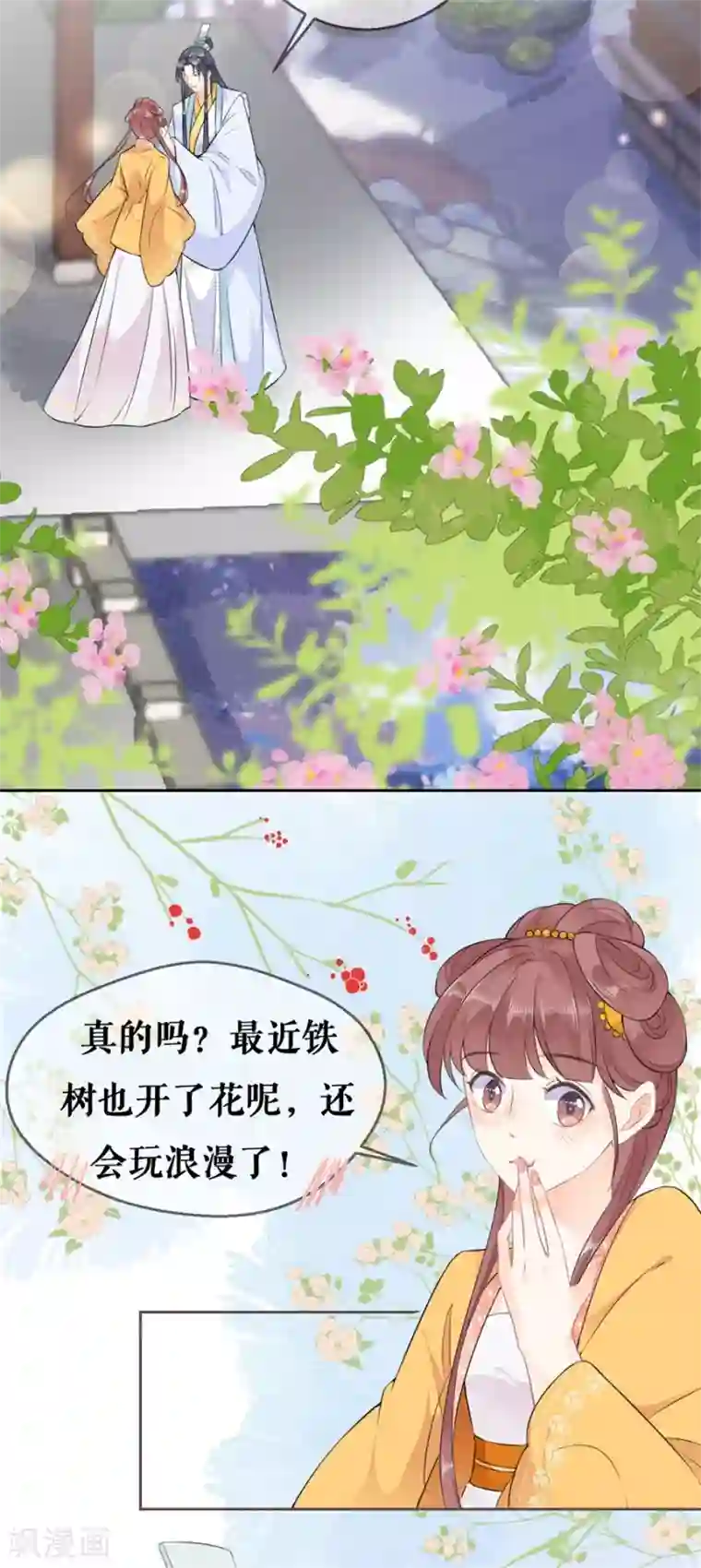桑落醉在南风里第57话 惊喜