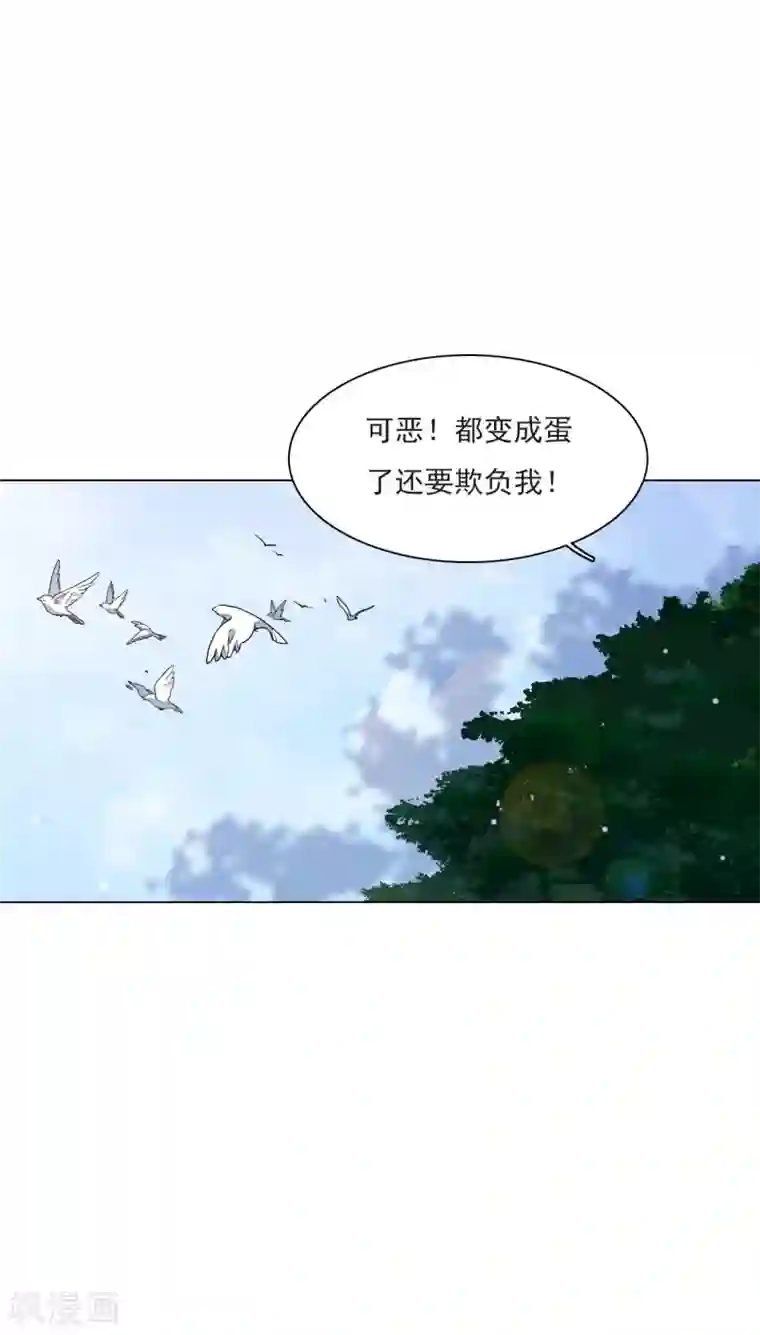 穿回古代做国宝第154话 违法的哟