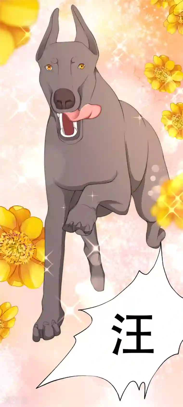 渣男总裁别想逃第244话 虐渣姐妹又要登场了！