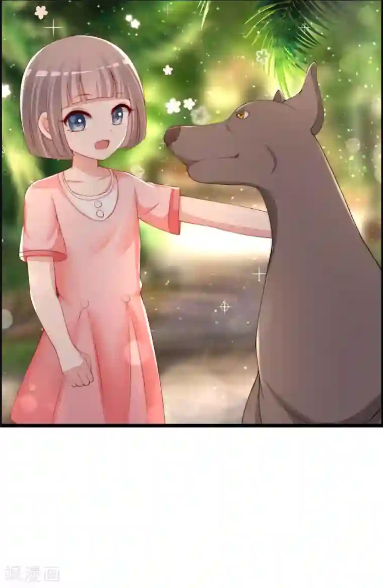 渣男总裁别想逃第244话 虐渣姐妹又要登场了！