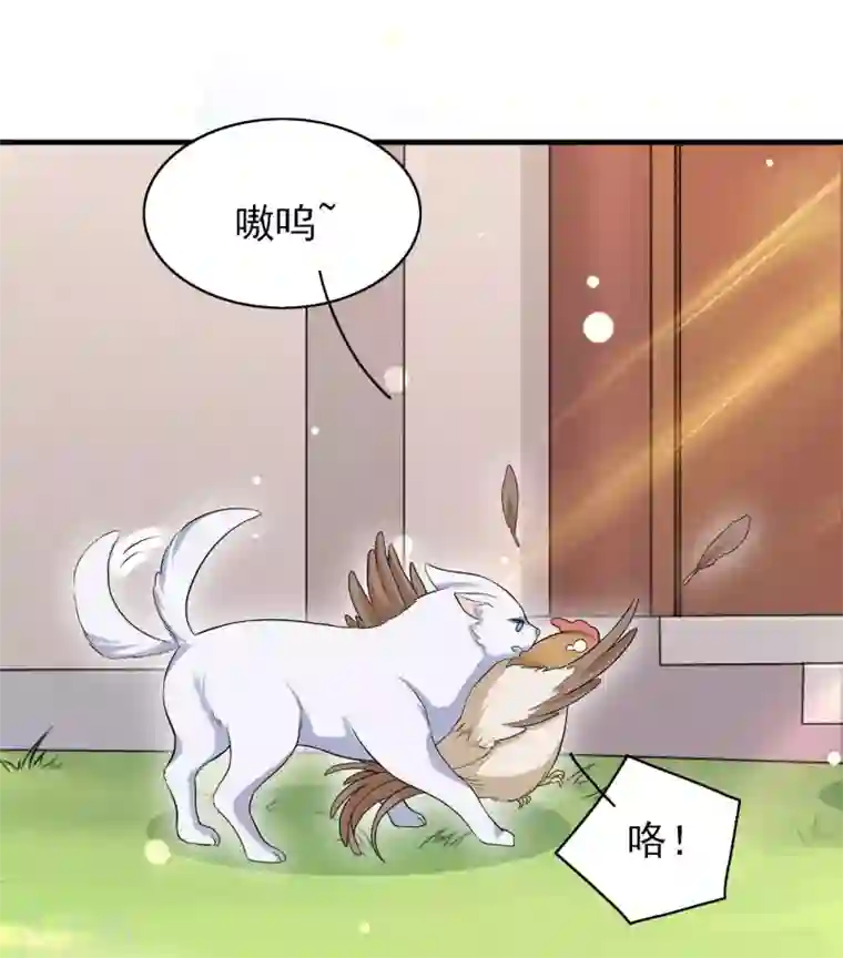 皇子夫君，我养你啊第47话 又不按套路出牌