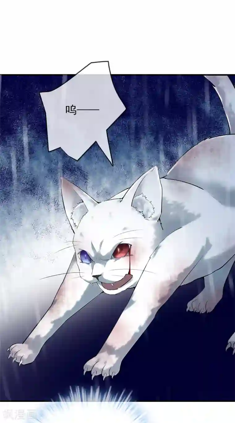 我有一座冒险屋第44话 白虎降临