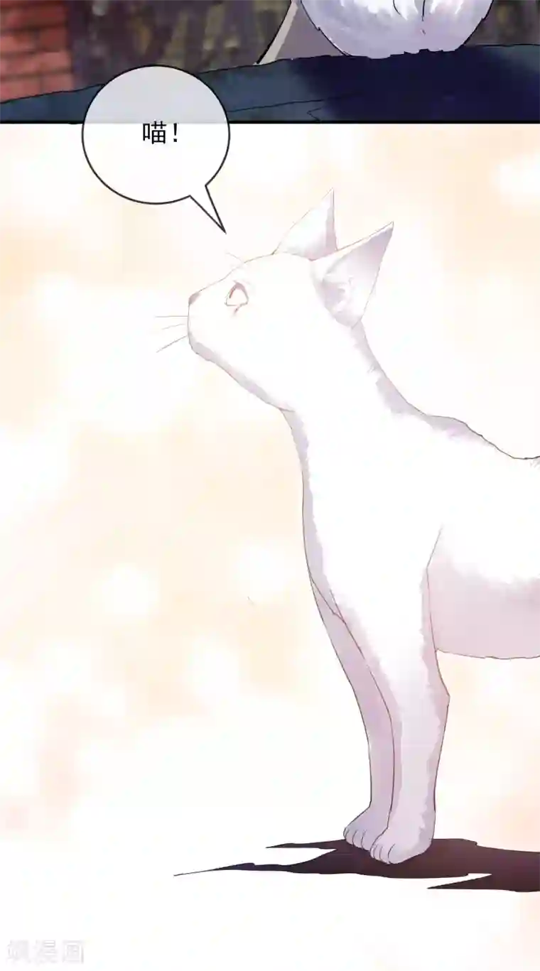 我有一座冒险屋第44话 白虎降临