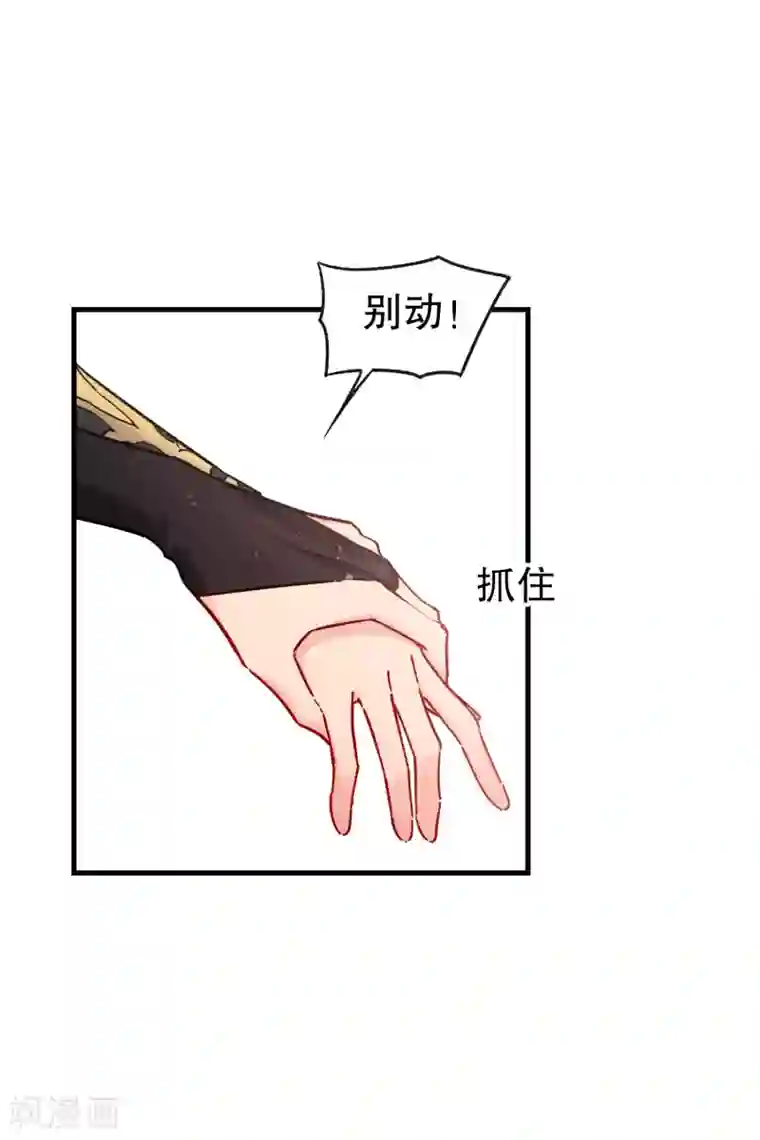 我家陛下总想祸国第18话1 将计就计