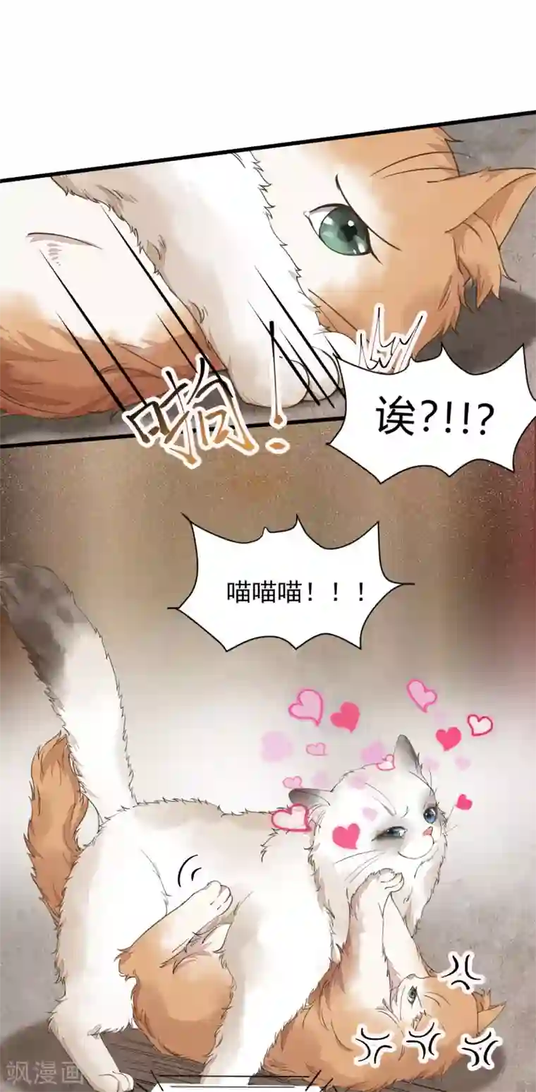 杀手王妃不好惹第35话 寻找肉身