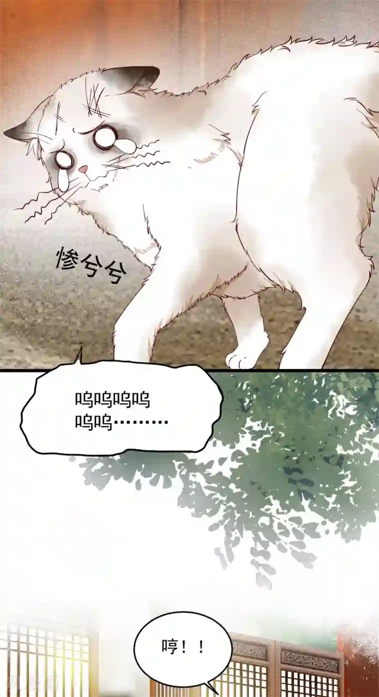 杀手王妃不好惹第35话 寻找肉身