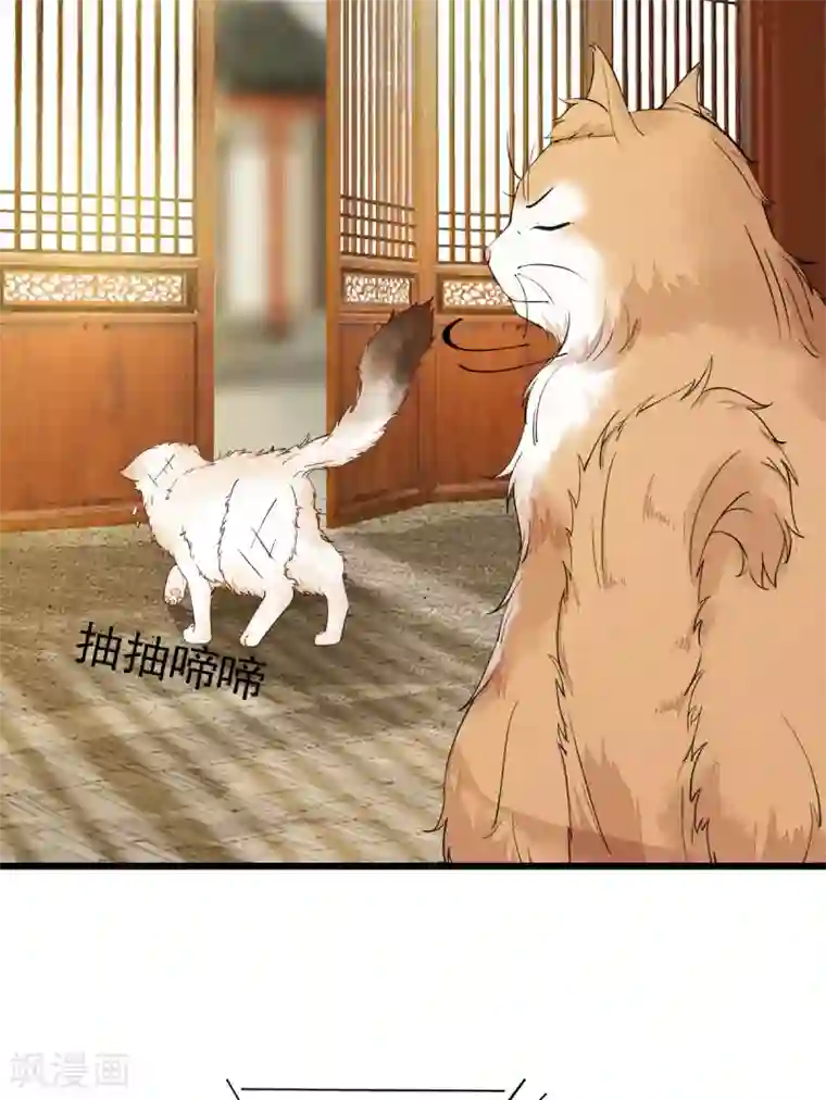 杀手王妃不好惹第35话 寻找肉身