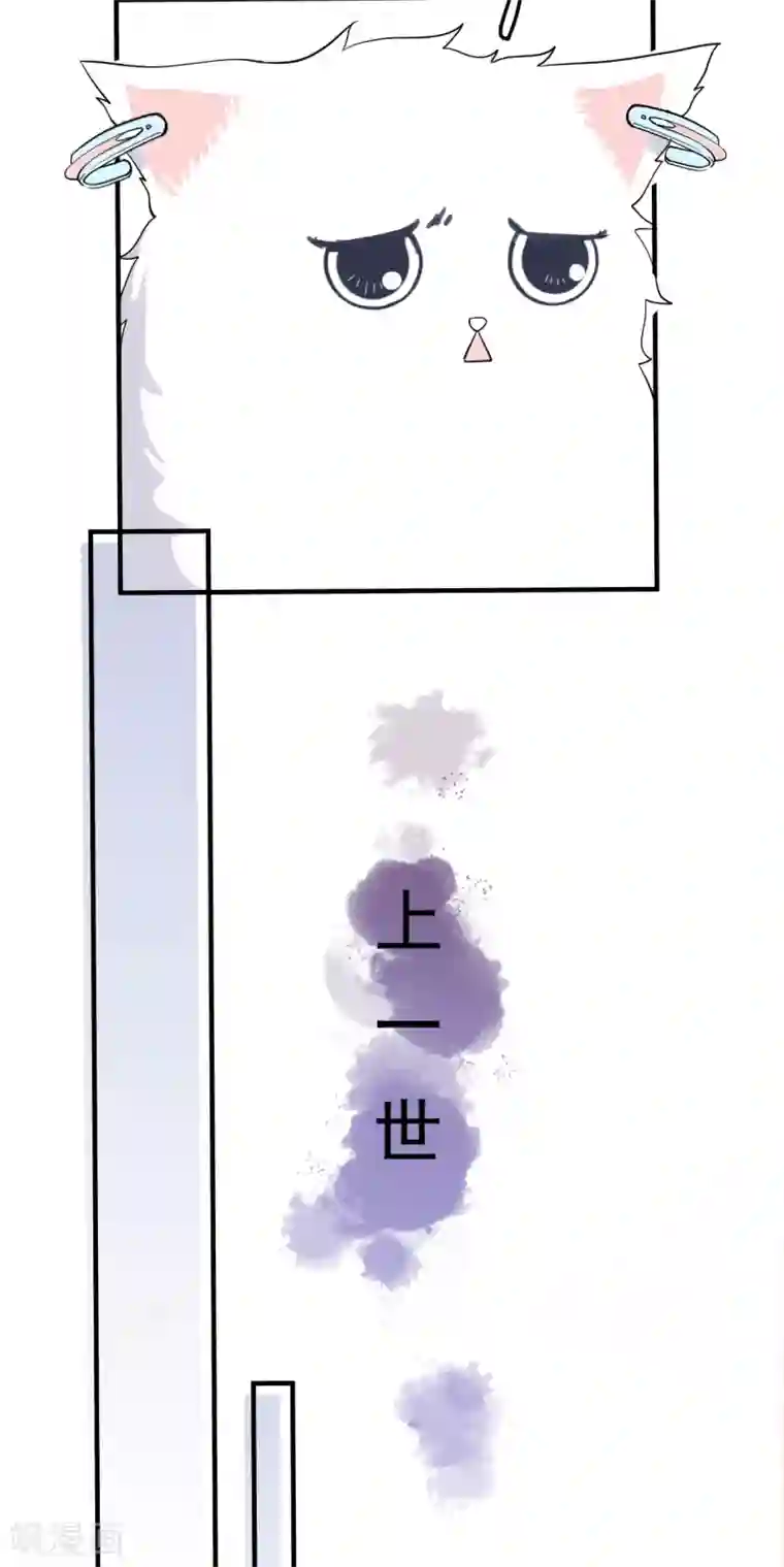 Take Me Out第41话 沐之秋之死