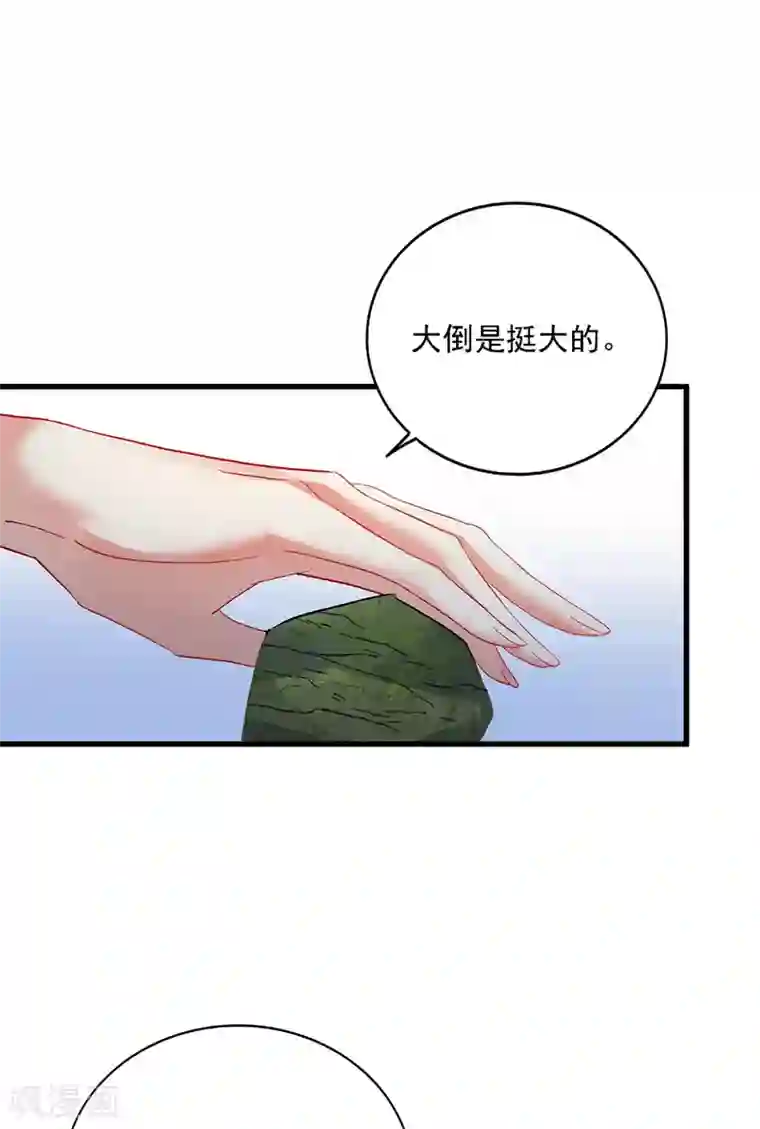 我在异界养男神：神医九小姐第26话 解石