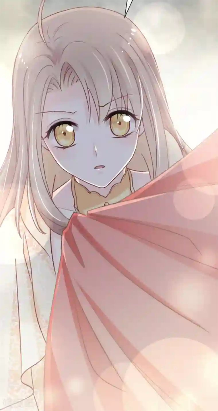 天下第一宠第58话 来不及说爱你