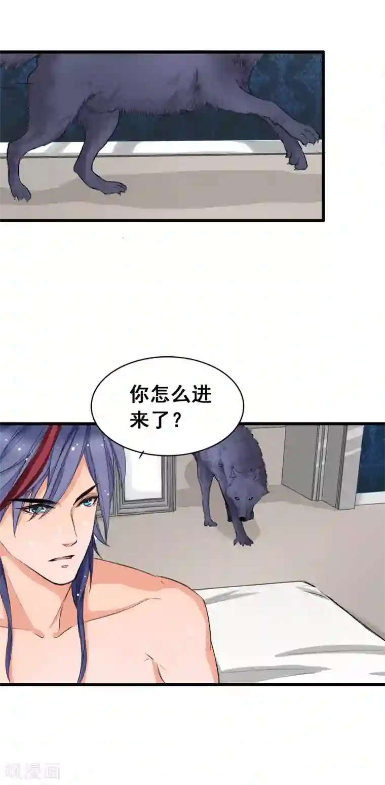 兽王的专宠第3话 咸猪手